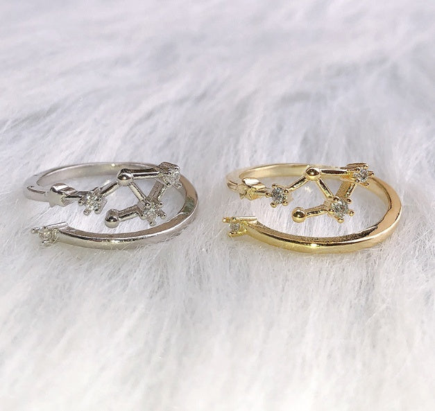 12 constellations star rings in silver and gold copper with gem settings on white background.